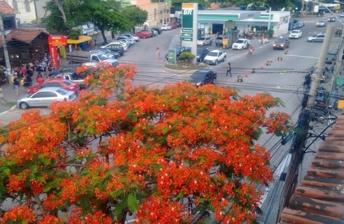 Praia dos Anjos Wohnung | Suite im Zentrum von Arraial do Cabo
