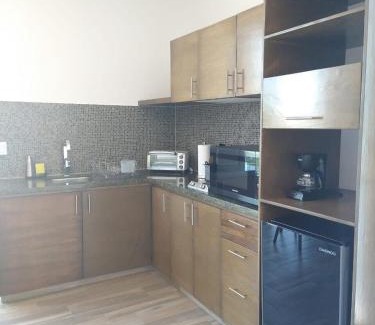 zona dos extendida Wohnung | Suite Loft Amplio Nuevo Salida a CDMX 204A