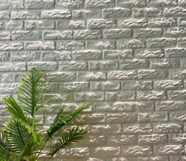 Zhiben Haus | Summer Grass B&B 台東縣民宿1729號