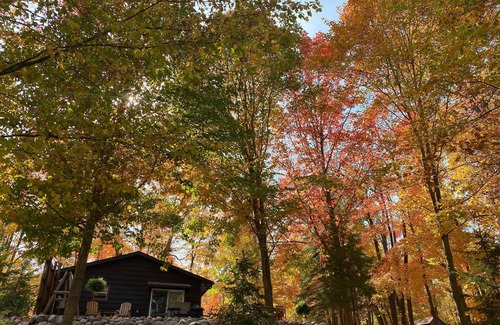 Longville Kabine | Fallraten nur 99 $. 00 eine Nacht! Bestes Angeln des Jahres mit wechselnden Bäumen!