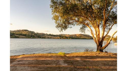 Howes Creek Haus | Summer Lea 1 by Tiny Away