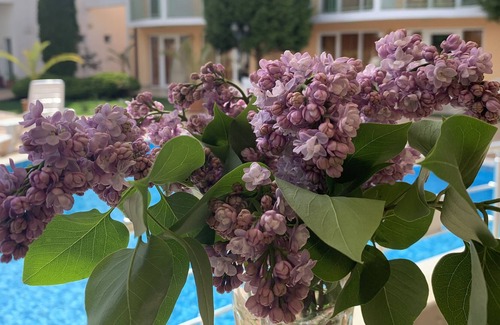 Chaika Resort | Sun City - All inclusive