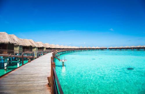 Vilu Reef Resort | Sun Siyam Vilu Reef - 24 Hours All-Inclusive with Free Transfer