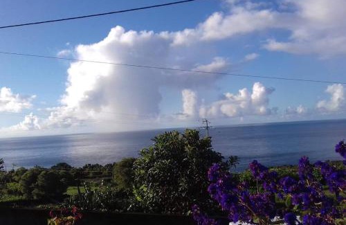 Sao Caetano Haus | Sunflower Guest House - Madalena - Pico
