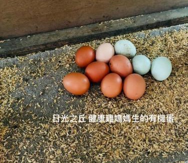 Yuanshan Haus | sunlight mound