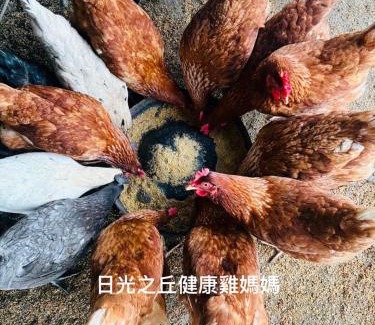 Yuanshan Haus | sunlight mound