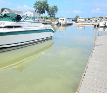 Oak Harbor Wohnung | Sunnie Days condo in Oak Harbor on Lake Erie!