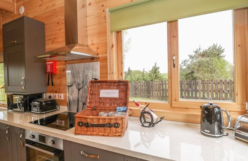 Crewkerne Hütte | SUNNYSIDE LODGE, haustierfreundlich, mit Garten in Crewkerne, Ref 976874