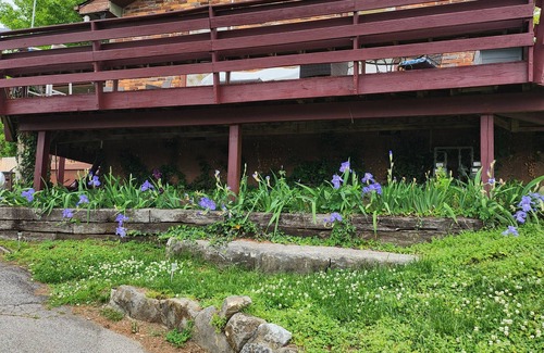 Hillwood Wohnung | Sunset Shanty 1-bedroom in West Nashville (420 friendly)