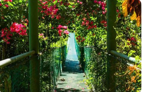 Montezuma Kabine | Sunshine Sanctuary Boutique Jungle Lodge
