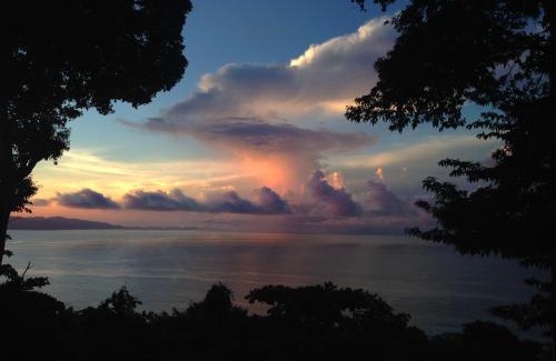 Puerto Jimenez Haus | Surfers´bohemian dream overlooking the point break