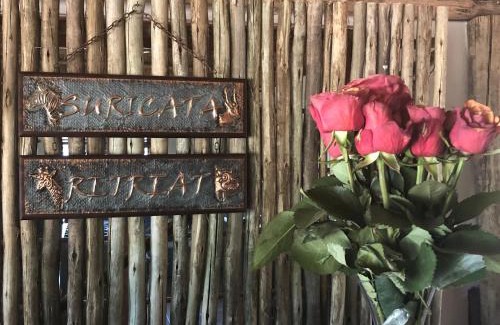 Limpopo-Lipadi Private Game Reserve Kabine | Suricata Retreat