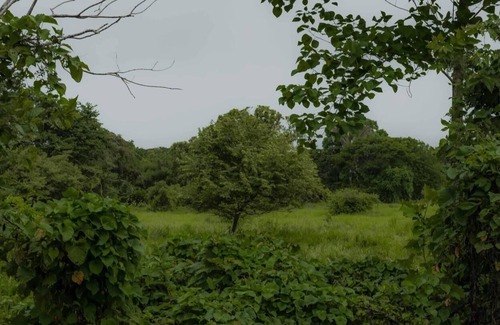 Cabuya Hütte | Surrounded By Trees In Front Of The Sea