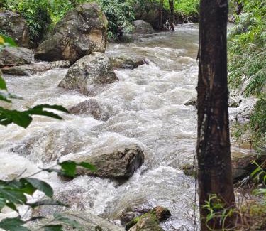 Udumbanchola Wohnung | Suryas Home Stay