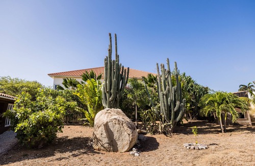 Santa Cruz Haus | sweet chalet in paradise