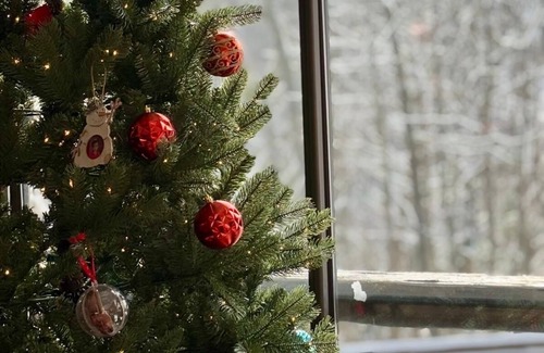 Hidden Valley Haus | Swim, Bike, Hike, Fish in Hidden Valley!