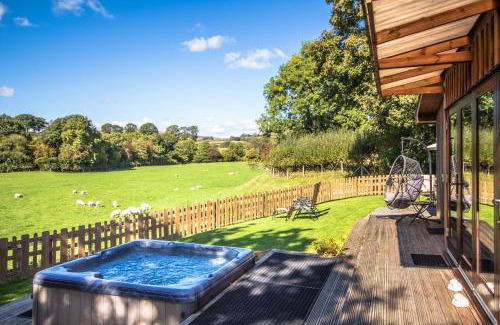 Rhayader Haus | Sycamore Lodge