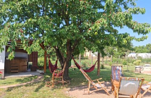 Szentendrei Haus | Sziget Gyöngye Vendégház
