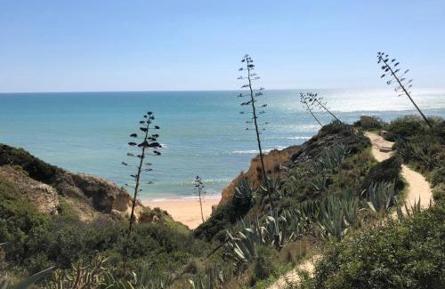 Alporchinhos Haus | T2 Holiday Cottage near the beach C225