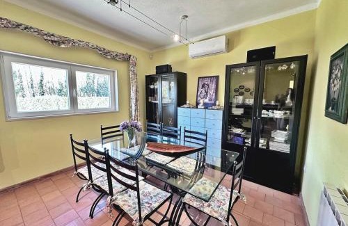 Agueda Haus | T3 Cozy Old House with XL garden