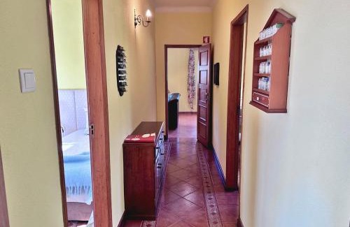 Agueda Haus | T3 Cozy Old House with XL garden