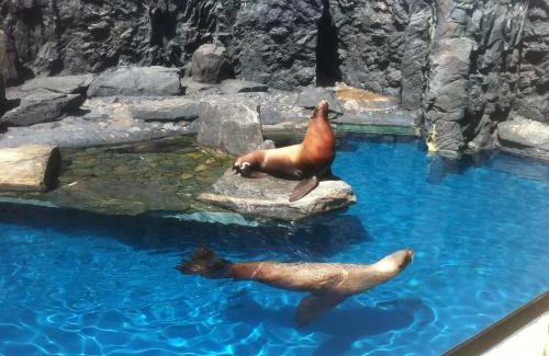 Mystic - New London Hotel | Taber Inn