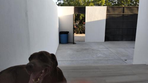 Colina del Sol Haus | Tacho's House privacy comfort 5 luxury