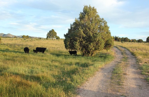 Hatch Wohnung | Tack Room Studio on 280 acre Sevier River Ranch - 1 King and 2 Twin Beds