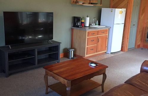 Rabun Gap Kabine | "Take A Paws" mit rollender Fernsicht, bequem in die Stadt und tierfreundlich