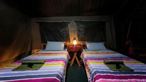 Talek Sonstige | Talek Bush Camp , Masai Mara