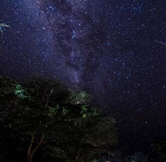 Talek Sonstige | Talek Bush Camp , Masai Mara