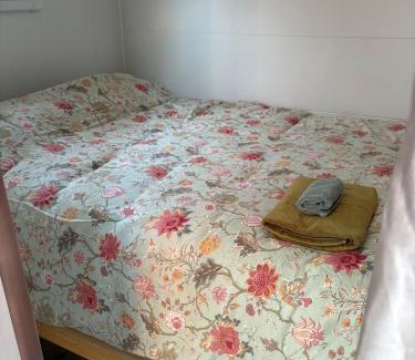 Taree Wohnung | Taree CBD Tiny backyard POD