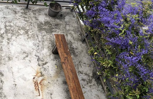 Xiulin Haus | Taroko Dan Aigle