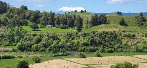 Taumarunui Haus | Te Tirohanga (The View)