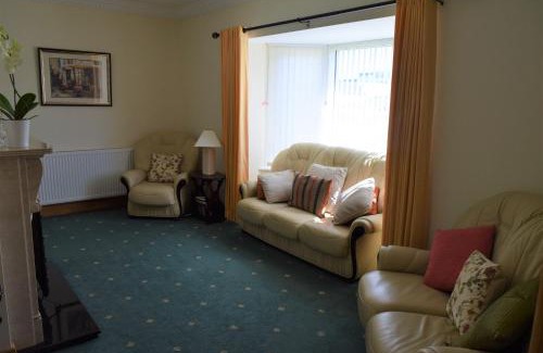 Dungloe Haus | Teach Kitty Con