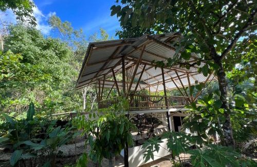 Dos Brazos Haus | Templo del Tigre