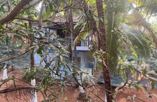 Morjim Hotel | Tender Coconut