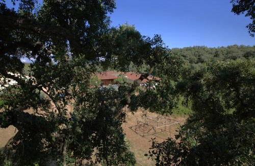 Sao Luis Sonstige | Tent in a Regenerative farm