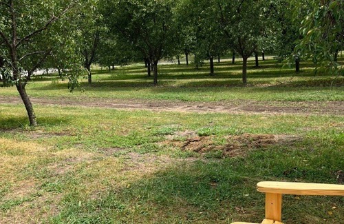 Central Lake Wohnmobilvermietung | Tentrr Signature Site - Shooks Farm Site