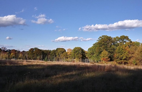 Hollis Center Sonstige | Tentrr Signature Site - Deerwander Camp B