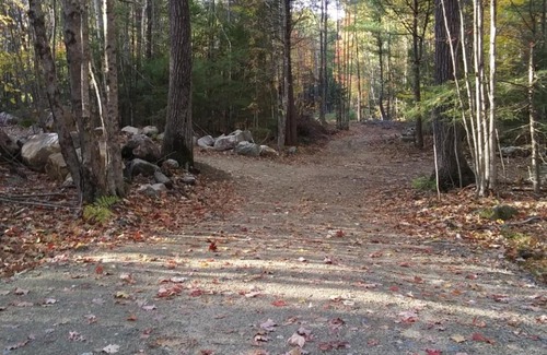 Hollis Center Sonstige | Tentrr Signature Site - Deerwander Camp B