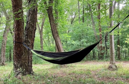 Ridge Wohnmobilvermietung | Tentrr Signature Site - Wander