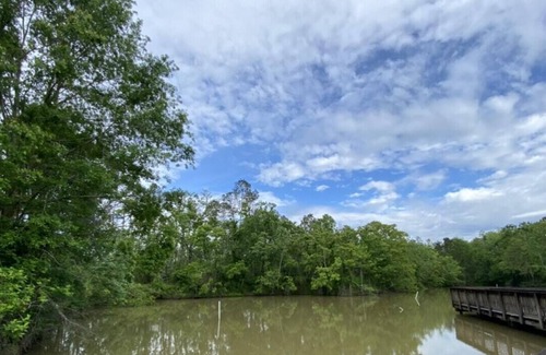 Springfield Wohnmobilvermietung | Tentrr State Park Site - Louisiana Tickfaw State Park - Woodland C - Single Camp