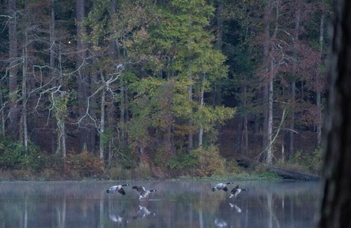 Morton Wohnmobilvermietung | Tentrr State Park Site - Mississippi Roosevelt State Park - I - Single Camp