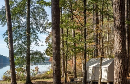 Morton Wohnmobilvermietung | Tentrr State Park Site - Mississippi Roosevelt State Park - Shadow Lake E - Sing