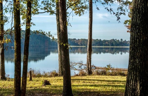 Morton Sonstige | Tentrr State Park Site - Mississippi Roosevelt State Park - Tall Trees B - Single Camp