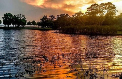 Mandeville Wohnmobilvermietung | Tentrr State Park Site - Louisiana Fontainebleau State Park - Pond View D - Sing