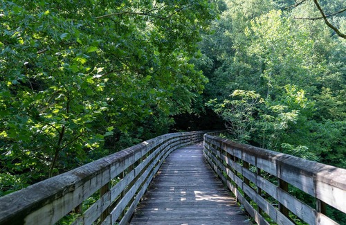 Ansted Wohnmobilvermietung | Tentrr State Park Site - WV Hawk's Nest State Park - Site F - Single Camp