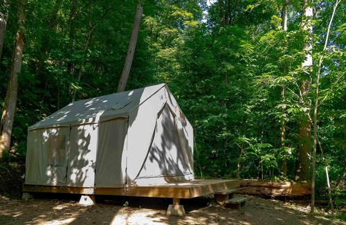 Ansted Wohnmobilvermietung | Tentrr State Park Site - WV Hawk's Nest State Park - Site F - Single Camp