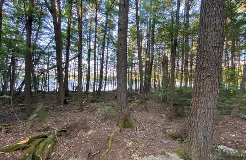 Dover-Foxcroft Sonstige | Tentrr State Parks - Peaks Kenny State Park